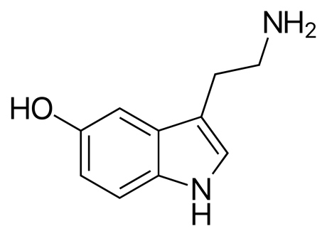 Serotonin (Wikimedia Commons)